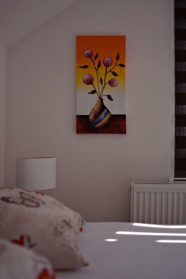 Apartmani Nikolic Višegrad Dış mekan fotoğraf